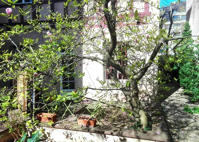 Appartement Petite France Avec Terrasse