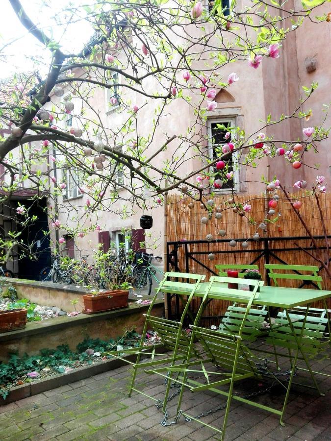 Apartamento Petite France Avec Terrasse *